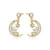 Aretes Luna Celestial, Alloy